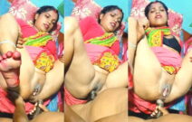 Desi Vlg Wife Blowjob and Anal Fucking