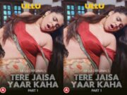 Tere Jaisa Yaar Kaha – Part 1 Episode 1